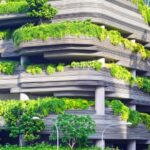 Green Building - gray concrete building covered trees