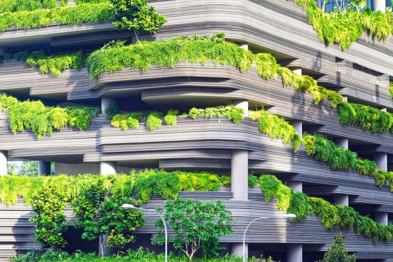Green Building - gray concrete building covered trees