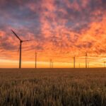 Wind Farms - landscape photography of grass field with windmills under orange sunset