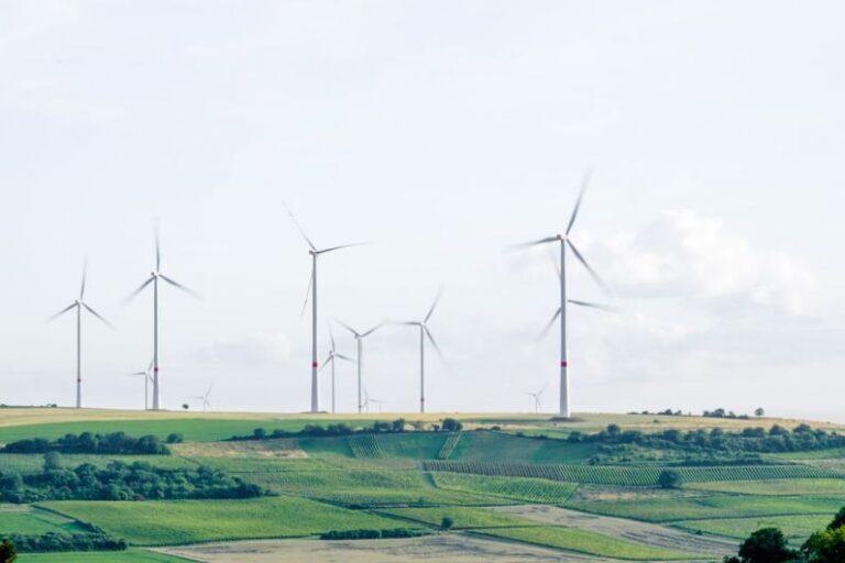 Environmental Compliance - windmill surrounded by grass during daytime