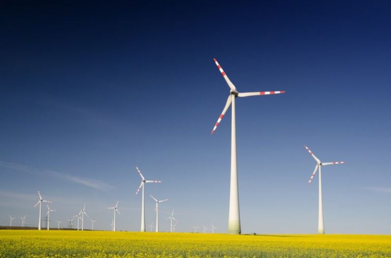 Sustainability Initiatives - windmills on grass field at daytime