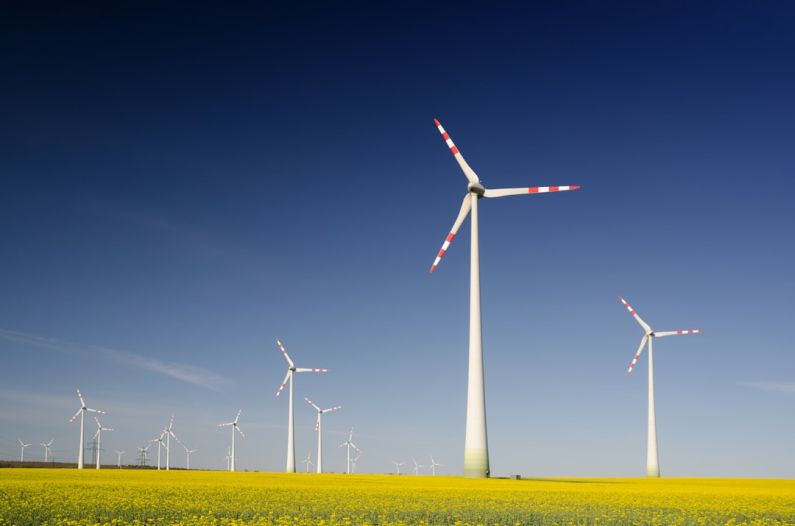 Sustainability Initiatives - windmills on grass field at daytime