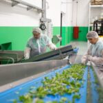 Green Factory - man in white dress shirt holding white plastic bag