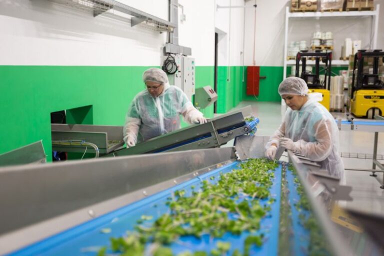 Green Factory - man in white dress shirt holding white plastic bag