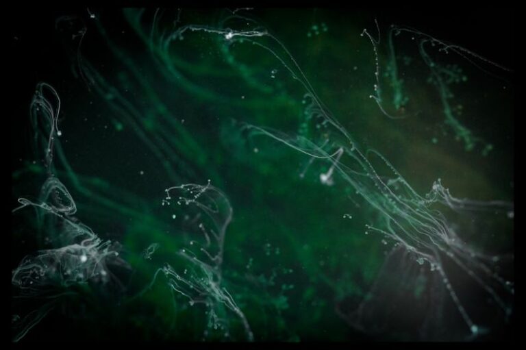 Forming Fluids - green and white light digital wallpaper